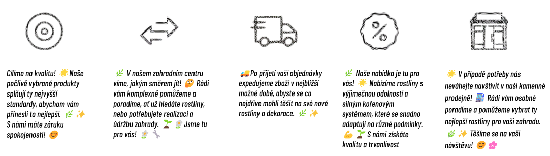 Snímek obrazovky 2024-10-11 101635